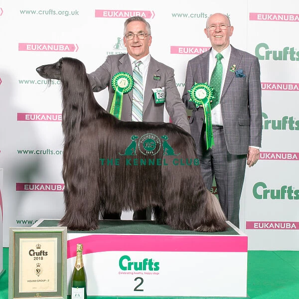 2018 Hound Group 2nd place Afghan Hound