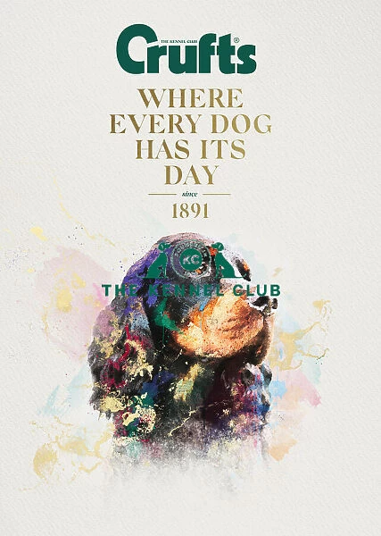 Crufts poster 2020 artwork featuring Cocker Spaniel