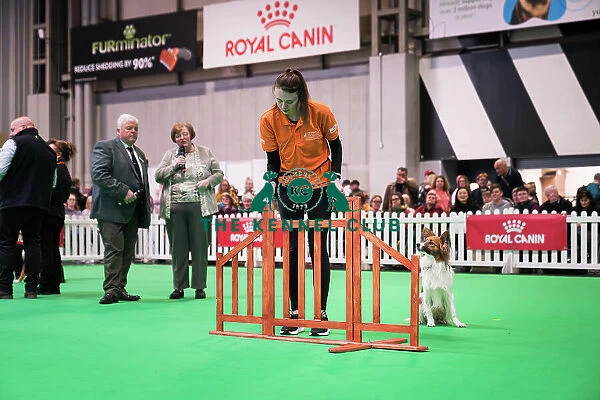 Good Citizen Bronze Award Display at Crufts on Friday 8th March 2024 Kennel Club Good Citizen ring