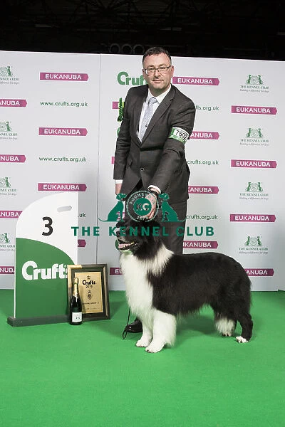 Pastoral Group Winner 3rd place BORDER COLLIE