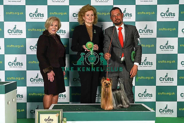 Sergio Amien from Spain, with Connon, a Yorkshire Terrier, which was the Best in Group winner today (Sunday 12. 03. 23), the last day of Crufts 2023, at the NEC Birmingham. Sergio Amien from Spain, with Connon, a Yorkshire Terrier
