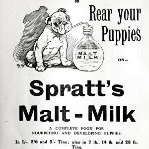 1910 Spratts Malt Milk advert