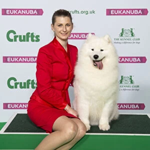 Crufts 2019 - Best of Breed / Pastoral
