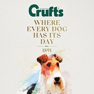 Crufts poster 2020 artwork featuring Airedale Terrier