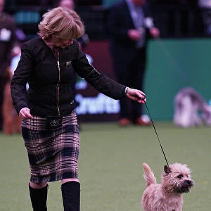 Elizabeth Theodorson and Merril Schmitt from Canada with Danny, a Cairn Terrier, which was the Best of Breed winner today (Saturday 11. 03. 23), the third day of Crufts 2023, at the NEC Birmingham