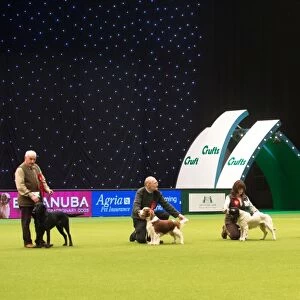 Gamekeepers Competition Final