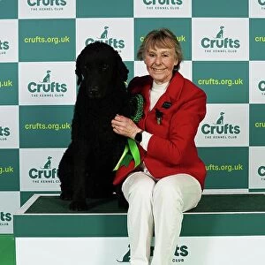 Maggie Stephens from Cynghordy with Tarzan, a Curly coated Retriever, which was the Best of Breed winner today (Thursday 09. 03. 23), the first day of Crufts 2023, at the NEC Birmingham