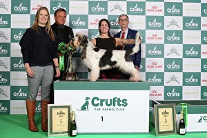 Crufts 2024 Photo Mug Collection: Crufts 2024 Best in Group stacked presentation photos
