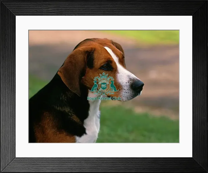 Framed Print : Hamiltonstovare Framed Print : Hamiltonstovare