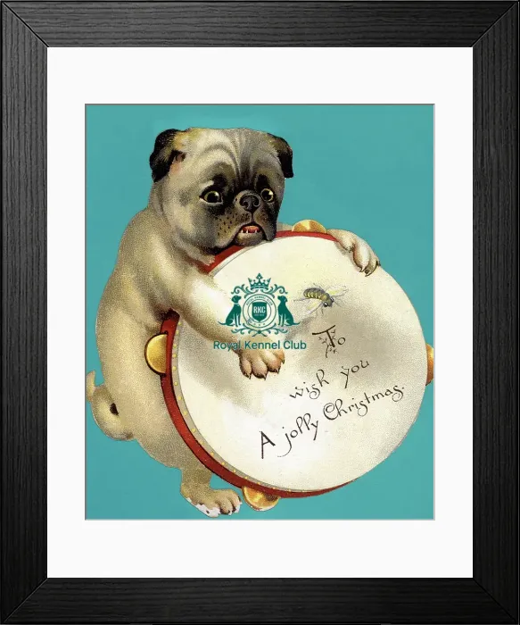 Framed Print : The Celia Haddon Collection Framed Print : The Celia Haddon Collection
