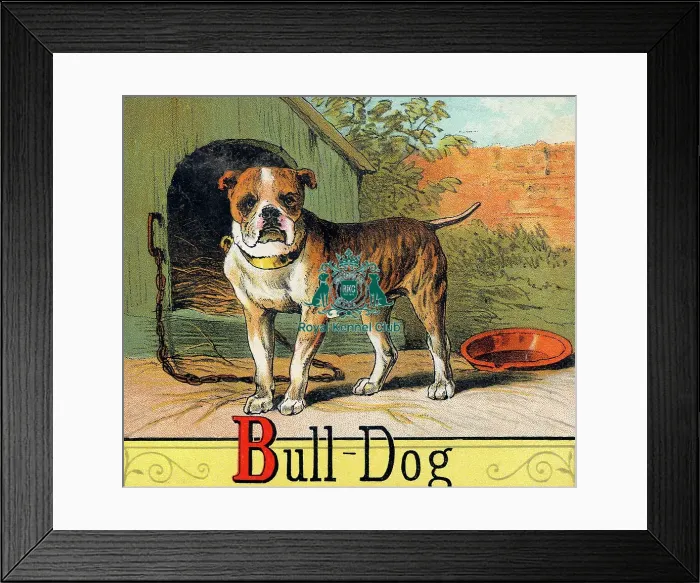 Framed Print : The Celia Haddon Collection
