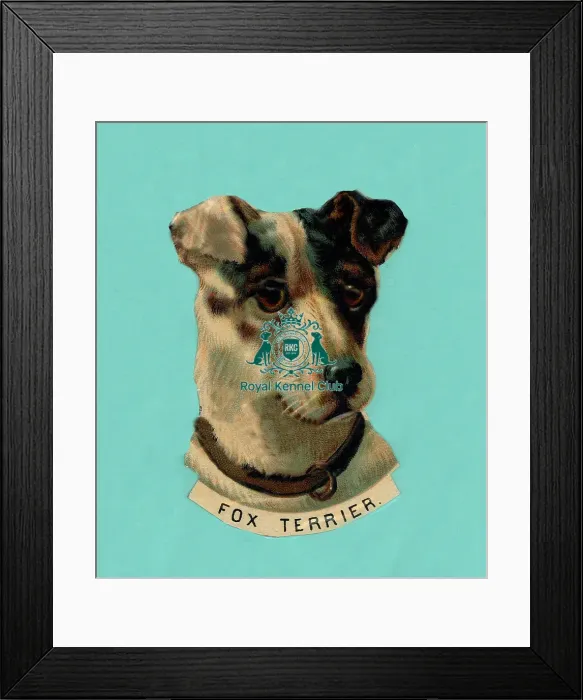 Framed Print : The Celia Haddon Collection Framed Print : The Celia Haddon Collection