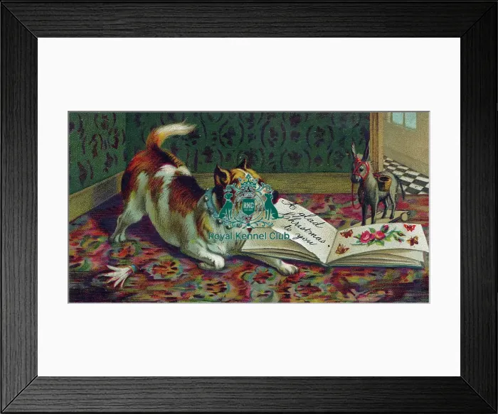 Framed Print : The Celia Haddon Collection