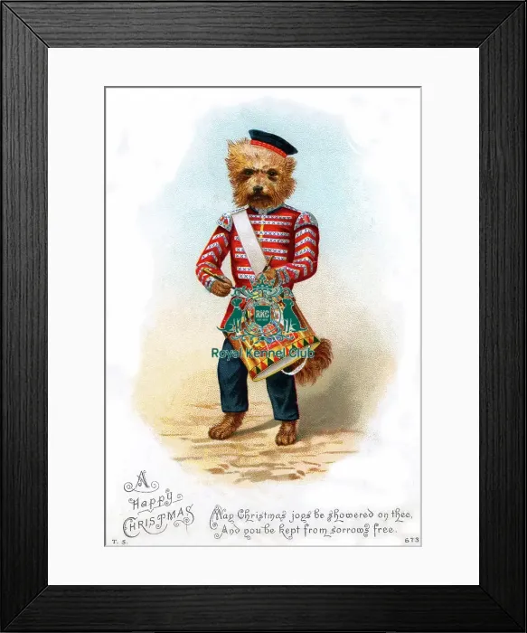 Framed Print : The Celia Haddon Collection Framed Print : The Celia Haddon Collection