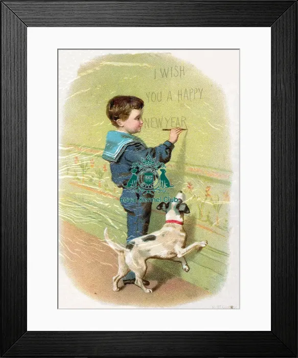 Framed Print : The Celia Haddon Collection Framed Print : The Celia Haddon Collection