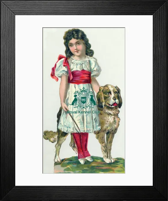 Framed Print : The Celia Haddon Collection Framed Print : The Celia Haddon Collection
