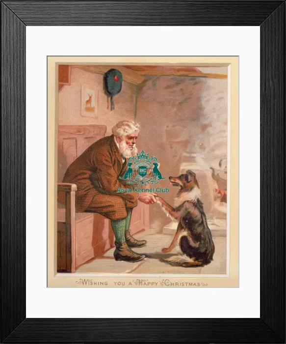 Framed Print : The Celia Haddon Collection Framed Print : The Celia Haddon Collection