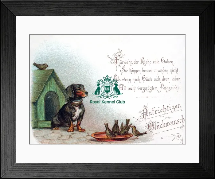 Framed Print : The Celia Haddon Collection Framed Print : The Celia Haddon Collection