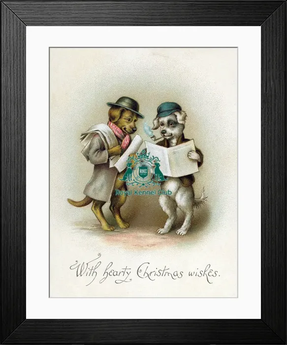 Framed Print : The Celia Haddon Collection Framed Print : The Celia Haddon Collection