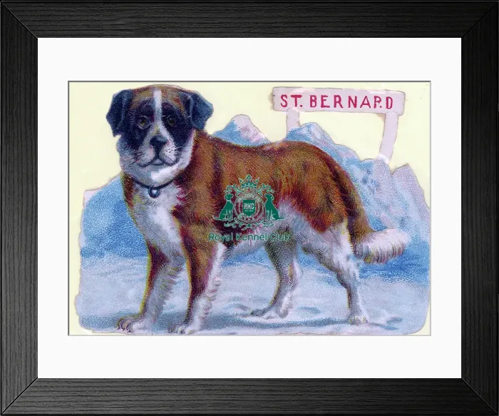 Framed Print : The Celia Haddon Collection Framed Print : The Celia Haddon Collection