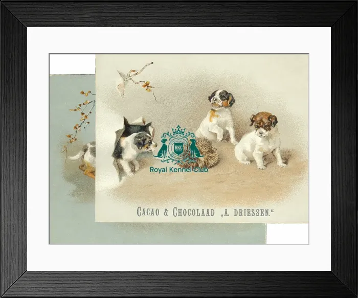 Framed Print : The Celia Haddon Collection