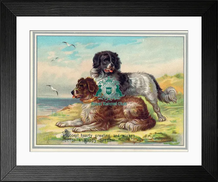 Framed Print : The Celia Haddon Collection