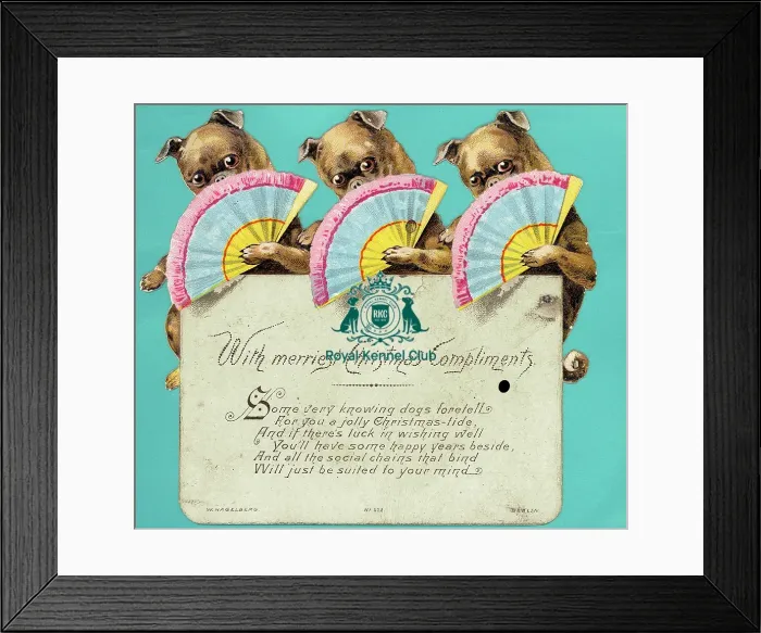 Framed Print : The Celia Haddon Collection Framed Print : The Celia Haddon Collection