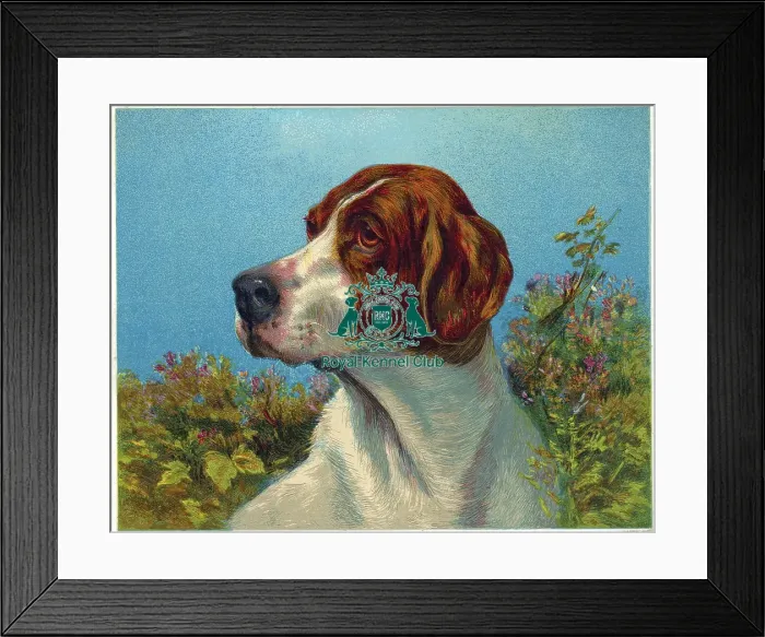 Framed Print : Celia Haddon Collection Framed Print : Celia Haddon Collection