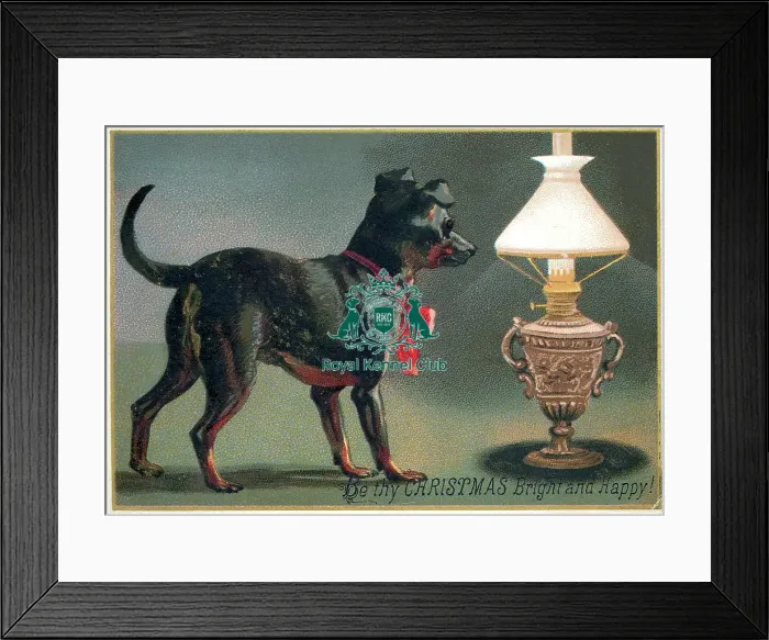 Framed Print : Celia Haddon Collection Framed Print : Celia Haddon Collection