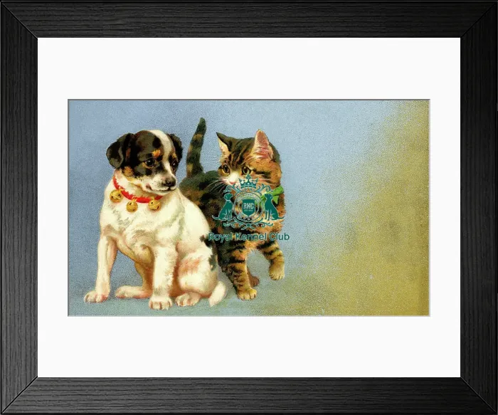 Framed Print : Celia Haddon Collection