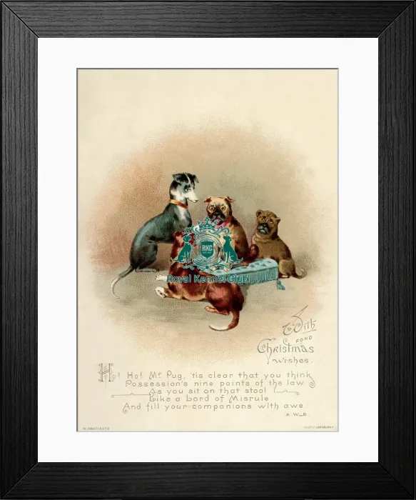 Framed Print : The Celia Haddon Collection Framed Print : The Celia Haddon Collection