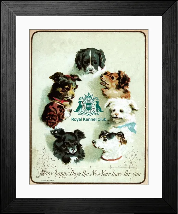 Framed Print : The Celia Haddon Collection Framed Print : The Celia Haddon Collection