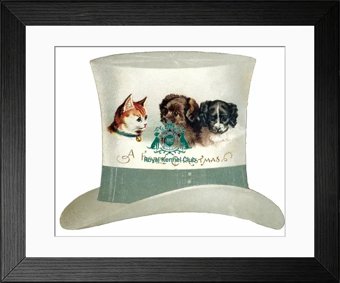 Framed Print : The Celia Haddon Collection Framed Print : The Celia Haddon Collection