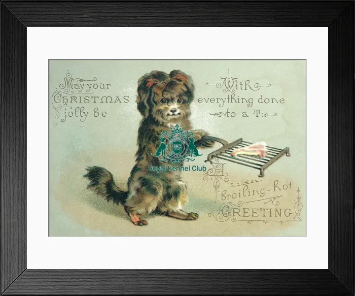 Framed Print : The Celia Haddon collection Framed Print : The Celia Haddon collection