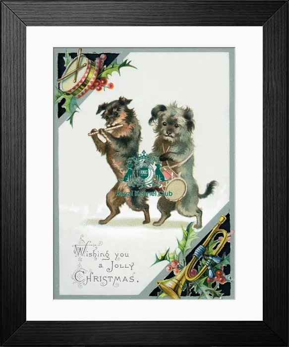 Framed Print : The Celia Haddon Collection Framed Print : The Celia Haddon Collection
