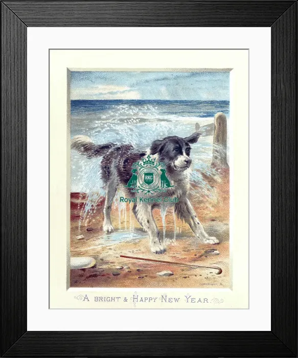 Framed Print : The Celia Haddon Collection Framed Print : The Celia Haddon Collection