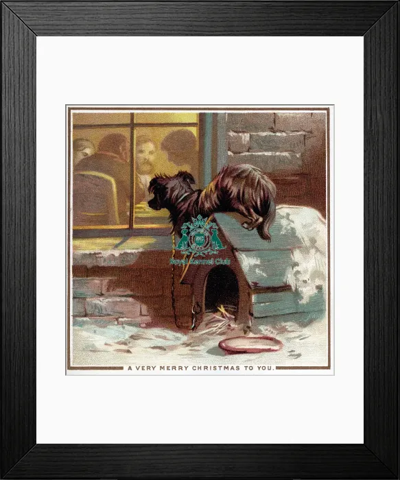 Framed Print : The Celia Haddon Collection Framed Print : The Celia Haddon Collection
