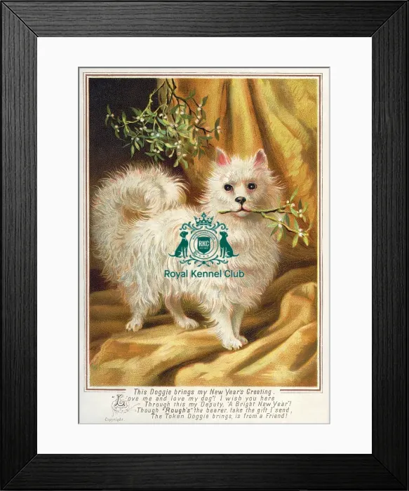 Framed Print : The Celia Haddon Collection Framed Print : The Celia Haddon Collection