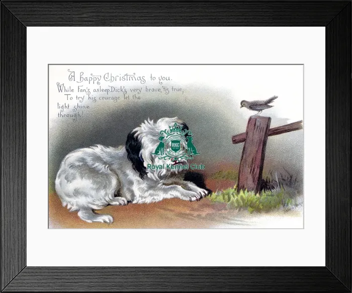 Framed Print : The Celia Haddon Collection Framed Print : The Celia Haddon Collection