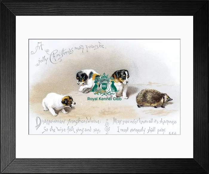 Framed Print : The Celia Haddon Collection Framed Print : The Celia Haddon Collection