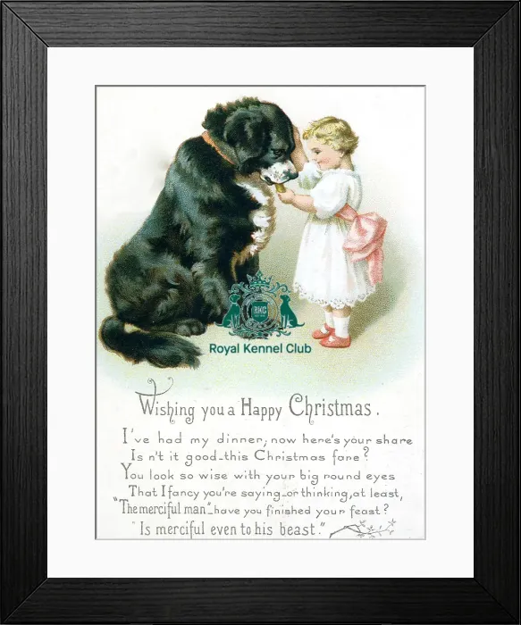 Framed Print : The Celia Haddon Collection
