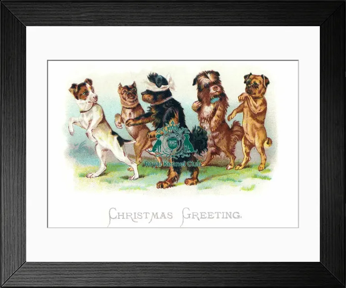 Framed Print : The Celia Haddon Collection