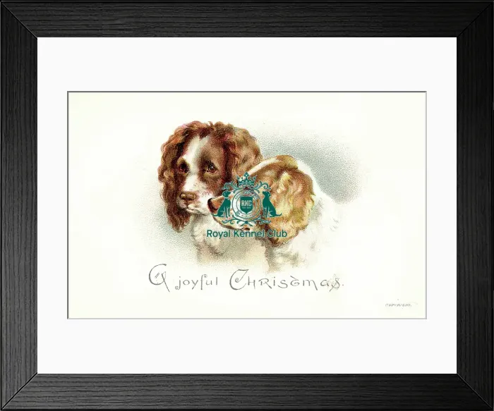 Framed Print : The Celia Haddon Collection Framed Print : The Celia Haddon Collection
