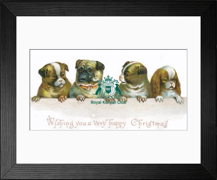Framed Print : The Celia Haddon Collection