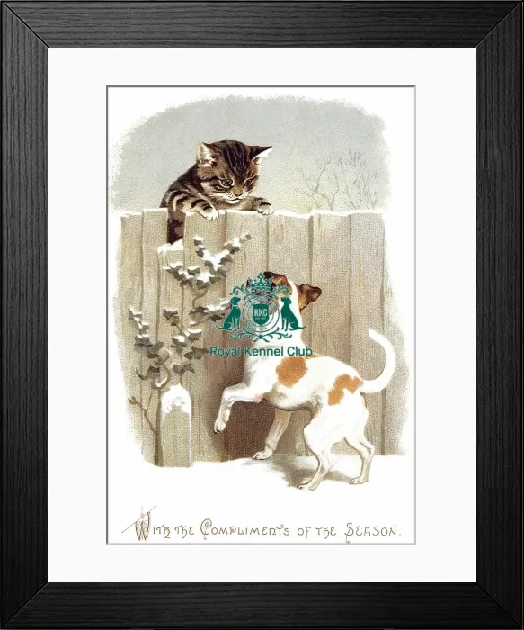 Framed Print : The Celia Haddon Collection