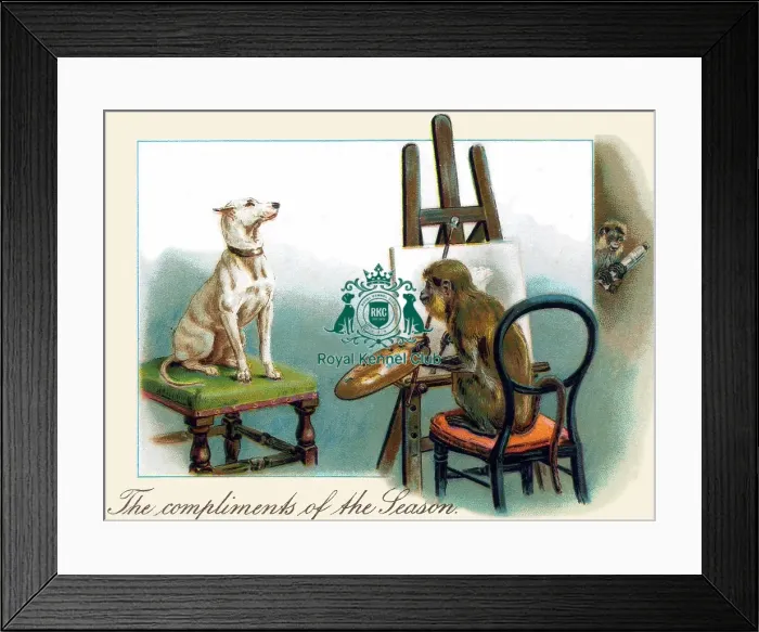 Framed Print : The Celia Haddon Collection