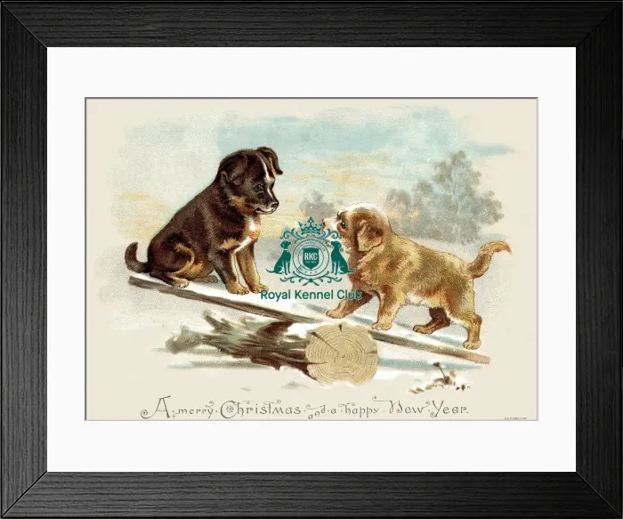 Framed Print : The Celia Haddon Collection