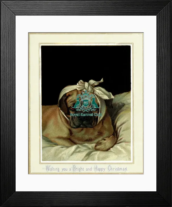 Framed Print : The Celia Haddon Collection