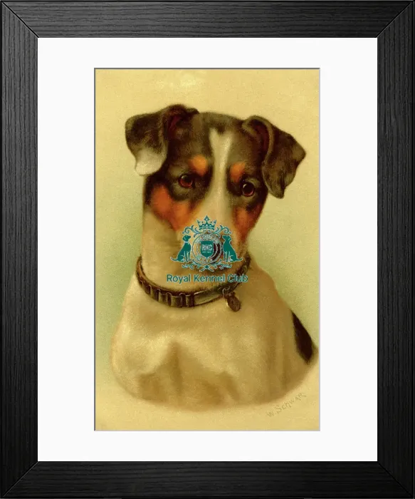 Framed Print : Celia Haddon Collection