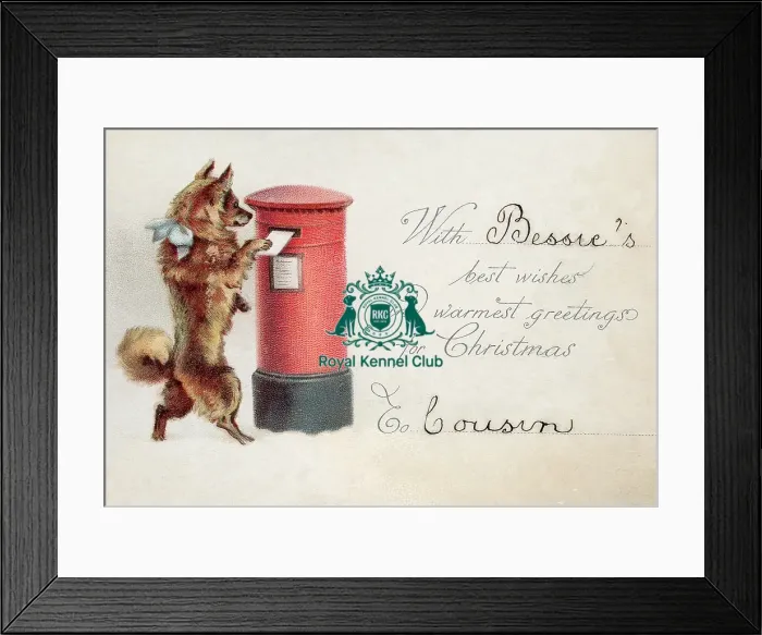 Framed Print : Celia Haddon Collection